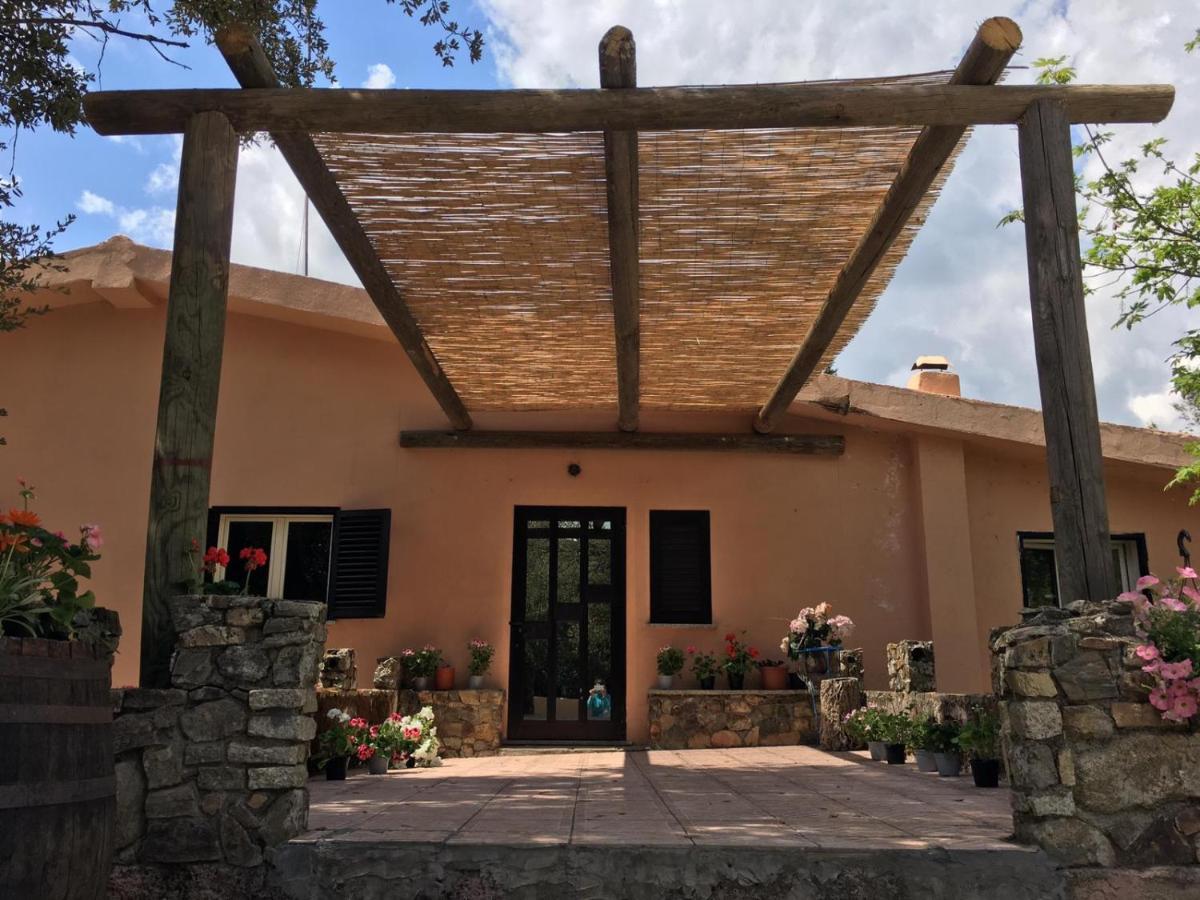 Azienda Agrituristica S'Argalasi - B&B - Affittacamere Loc S'Argalasi Austis ภายนอก รูปภาพ