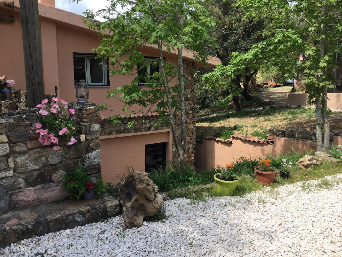 Azienda Agrituristica S'Argalasi - B&B - Affittacamere Loc S'Argalasi Austis ภายนอก รูปภาพ
